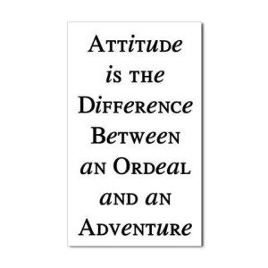 attitude ordeal adventure II